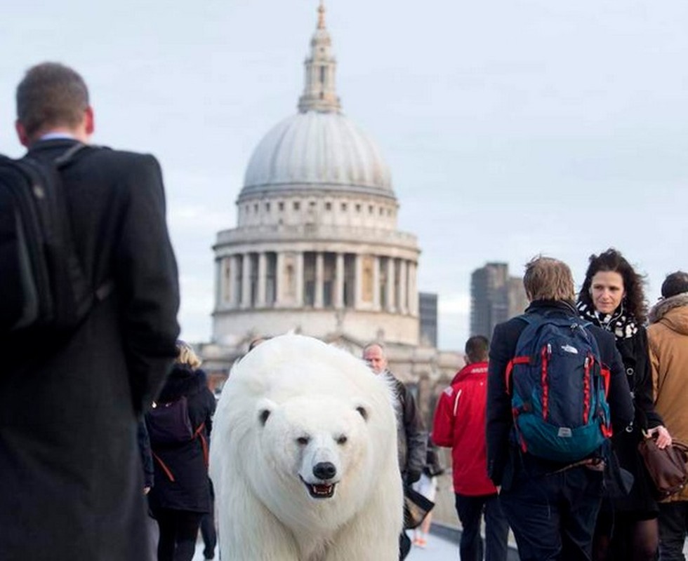 Gau Bac cuc tung hoanh tren duong pho London-Hinh-3